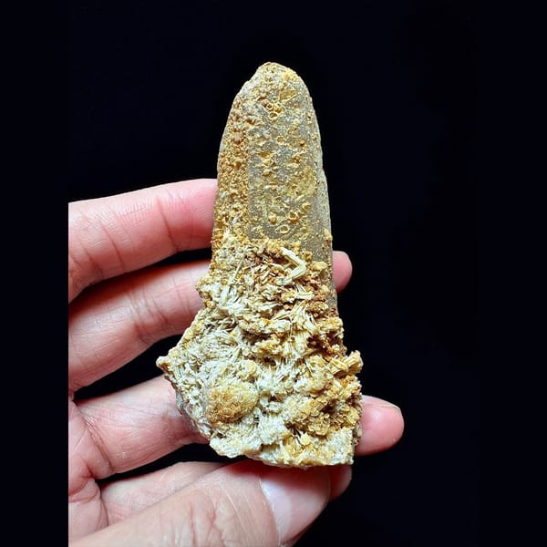 Tall quartz crusted with yellow needle calcite from Inner Mongolia — complete view