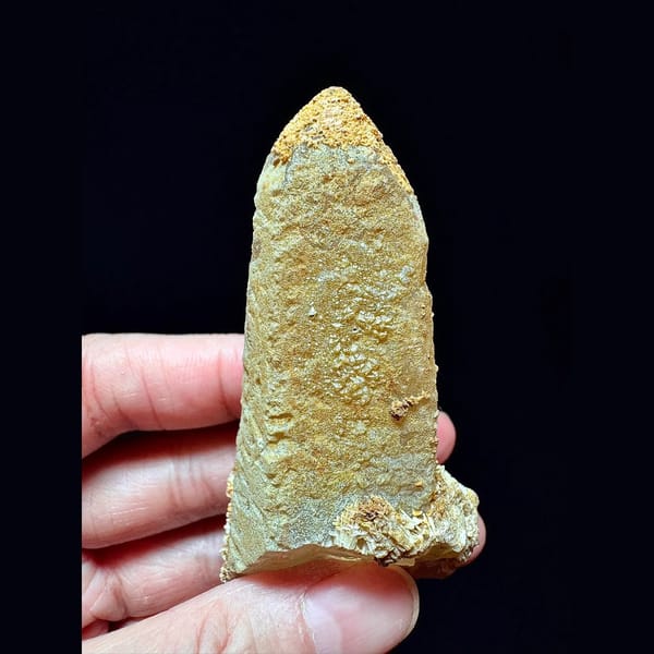 Tall quartz crusted with yellow needle calcite from Inner Mongolia — alternate view