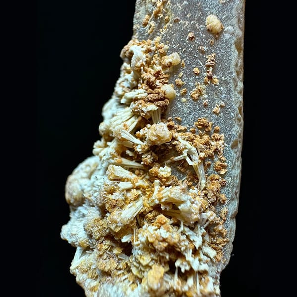 Tall quartz crusted with yellow needle calcite from Inner Mongolia — detail view