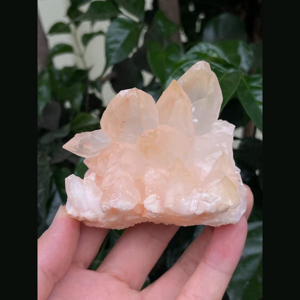 Frosty peach to pale pink calcite crystal cluster — complete view