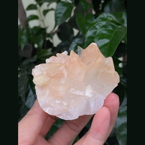 Frosty peach to pale pink calcite crystal cluster — alternate view