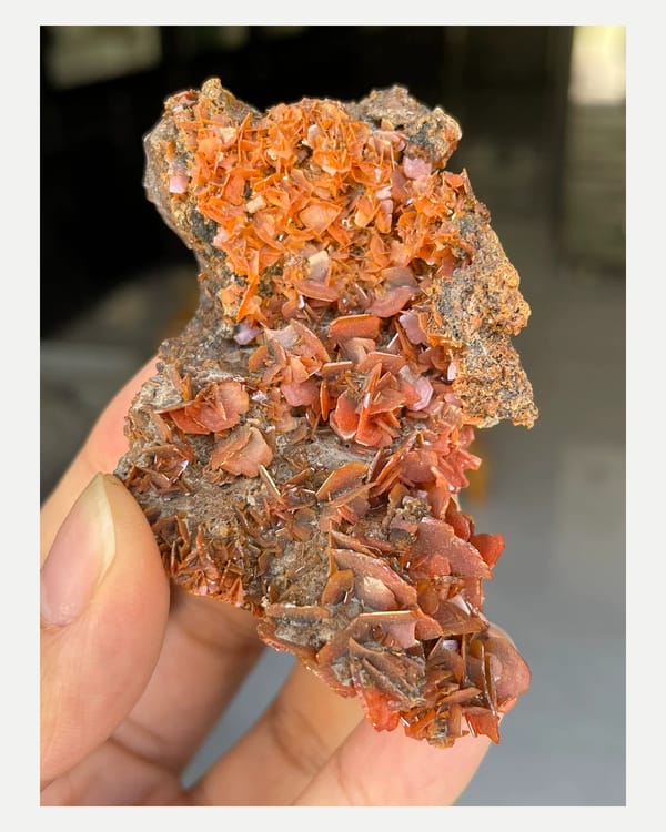 Complete front oblique view of the exact orange wulfenite specimen