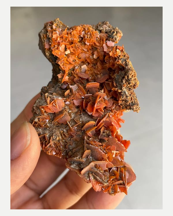 Complete raised front view of the exact wulfenite crystal plate