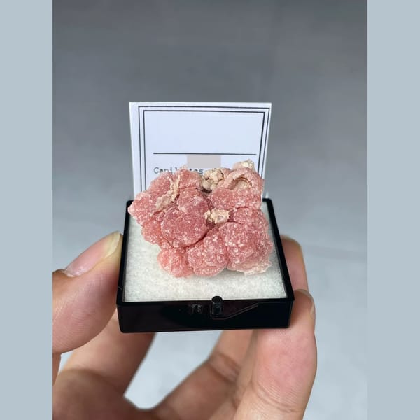 Rosy pink rhodochrosite from Capillitas, Argentina — complete view