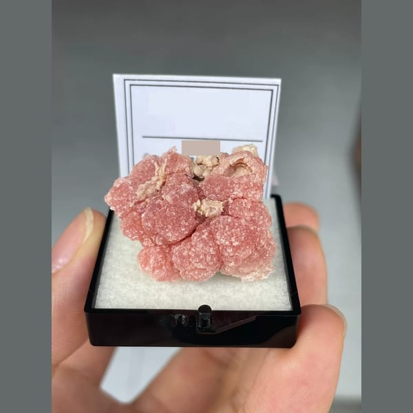 Rosy pink rhodochrosite from Capillitas, Argentina — alternate view