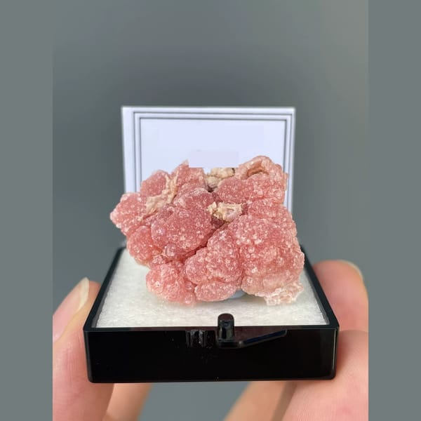 Rosy pink rhodochrosite from Capillitas, Argentina — detail view