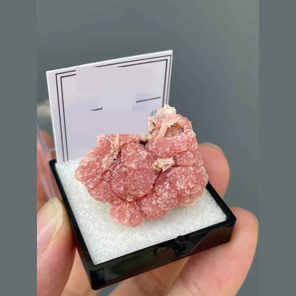 Rosy pink rhodochrosite from Capillitas, Argentina — detail view