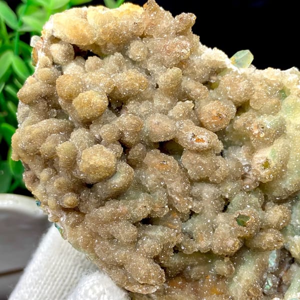 Pale sugary hemimorphite coating quartz — detail view