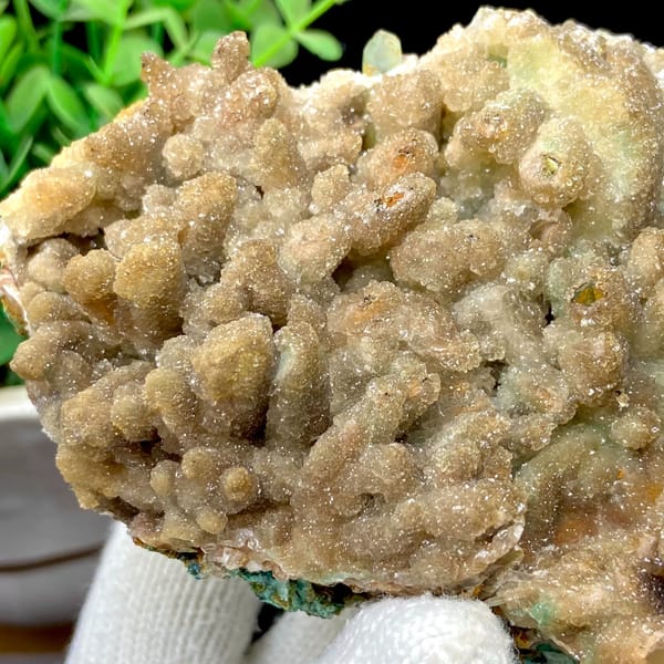 Pale sugary hemimorphite coating quartz — detail view