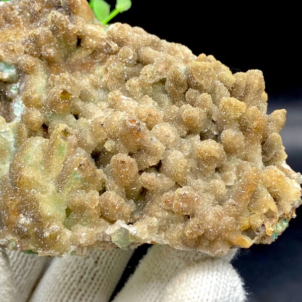 Pale sugary hemimorphite coating quartz — detail view