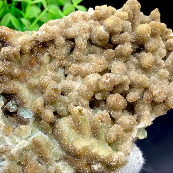 Pale sugary hemimorphite coating quartz — detail view