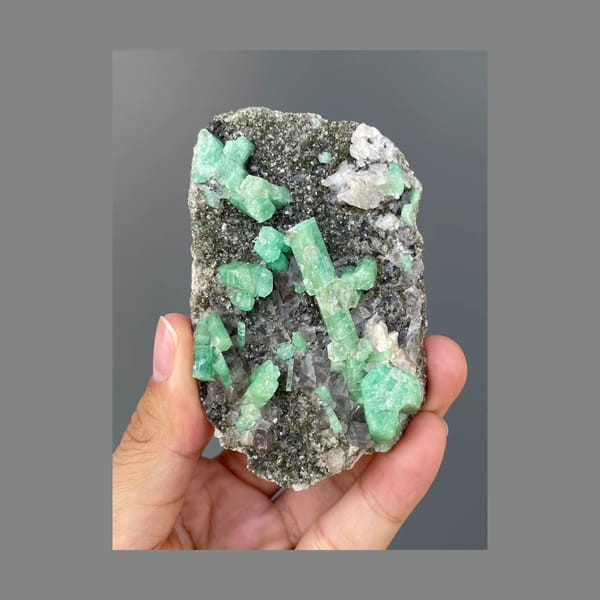 Green Beryl Crystals on Dark Matrix — Wenshan, Yunnan — full specimen view 1 of 5