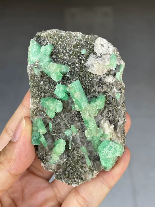 Green Beryl Crystals on Dark Matrix — Wenshan, Yunnan — full specimen view 5 of 5