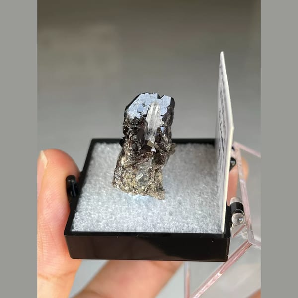 Lustrous brown axinite with quartz from Pakistan — alternate view