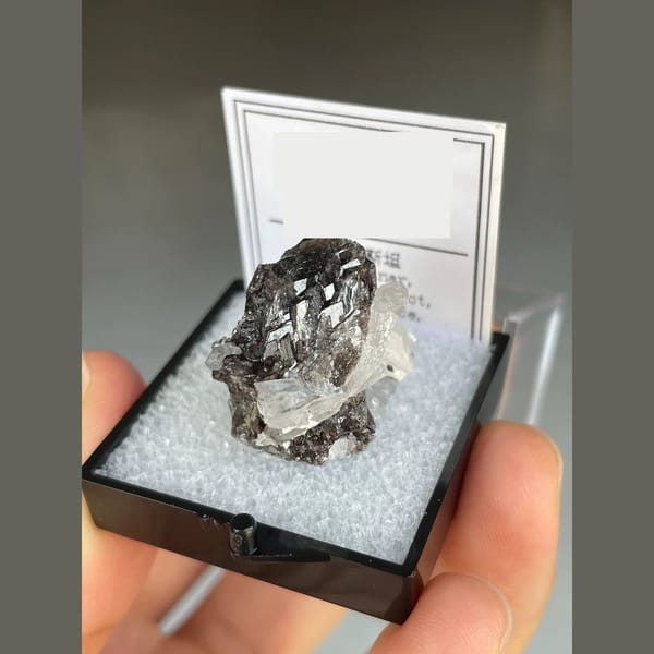 Lustrous brown axinite with quartz from Pakistan — complete view