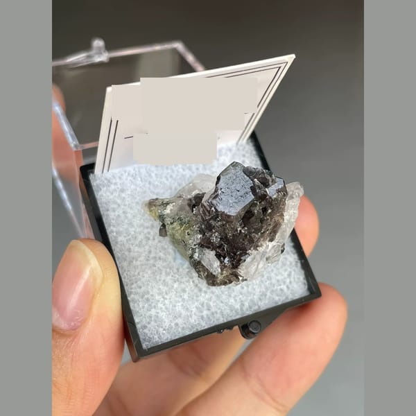 Lustrous brown axinite with quartz from Pakistan — alternate view