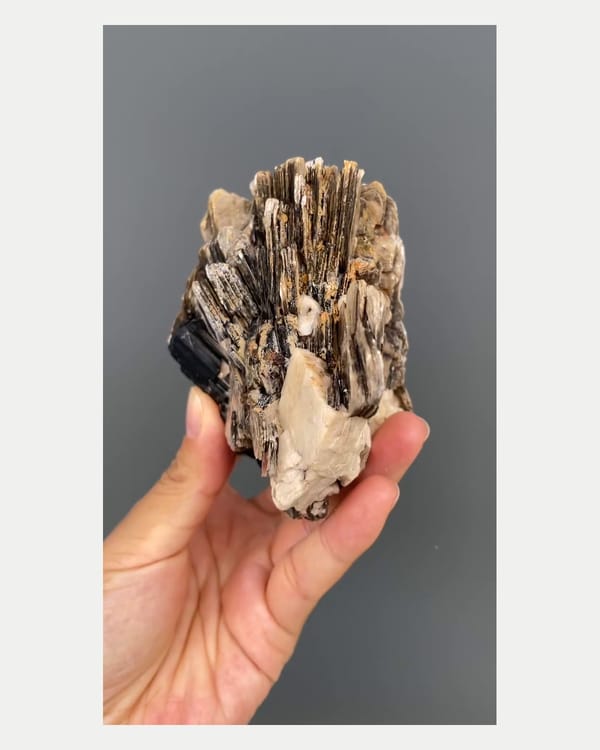 Complete left oblique view of mica fans with black tourmaline