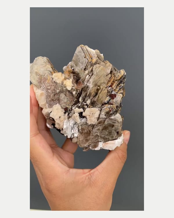 Complete reverse view of mica fans with black tourmaline