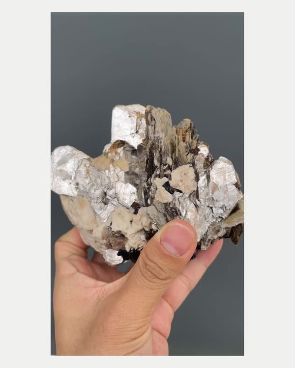 Complete right oblique view of mica fans with black tourmaline