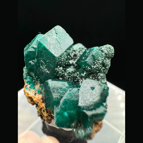 Dioptase with malachite from the Congo — alternate view