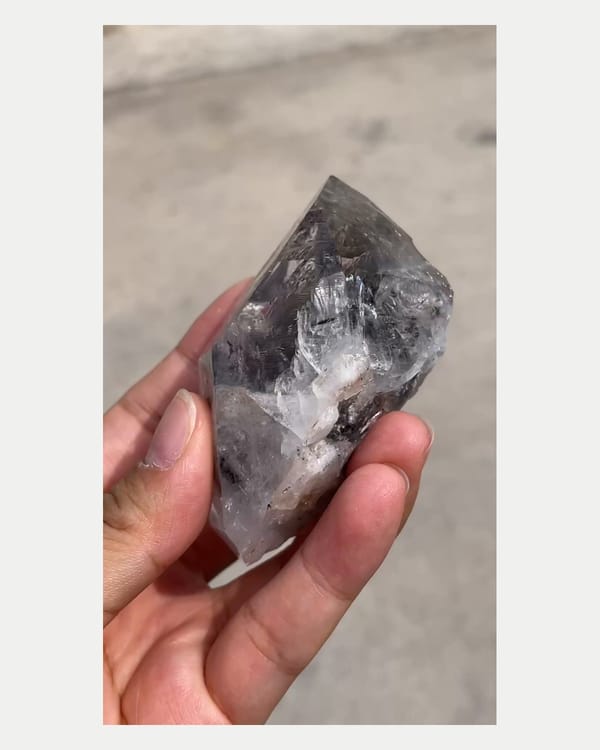 Complete left oblique view of dark included quartz point