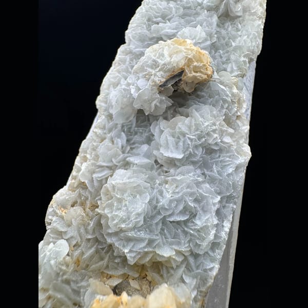Large quartz with two-tone petal calcite from Inner Mongolia — detail view