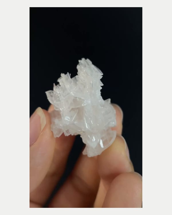 Complete right oblique view of snowflake cerussite crystal cluster