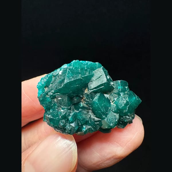 Dioptase crystal cluster from the Congo — complete view