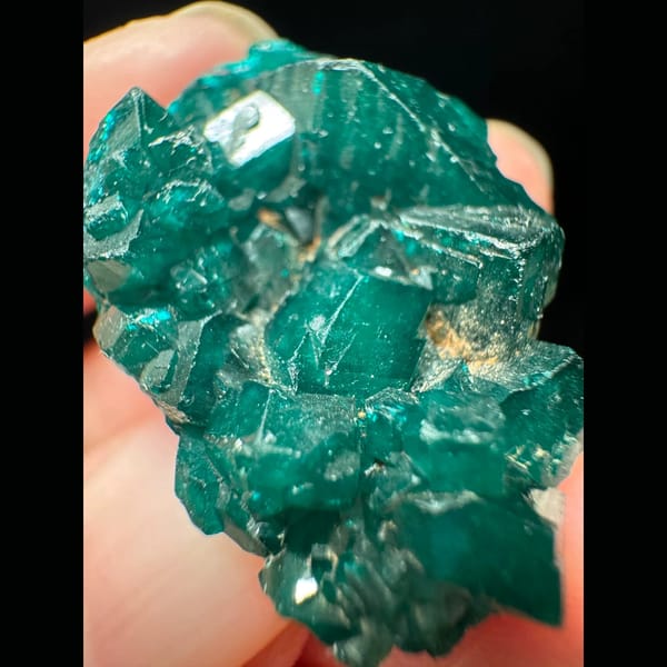 Dioptase crystal cluster from the Congo — alternate view
