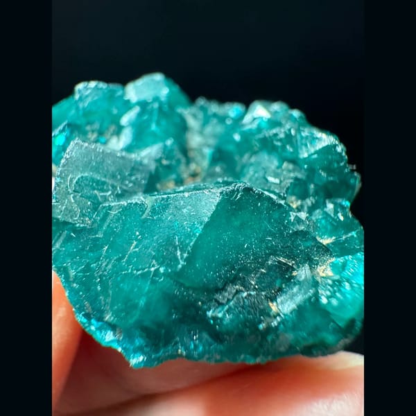 Dioptase crystal cluster from the Congo — alternate view
