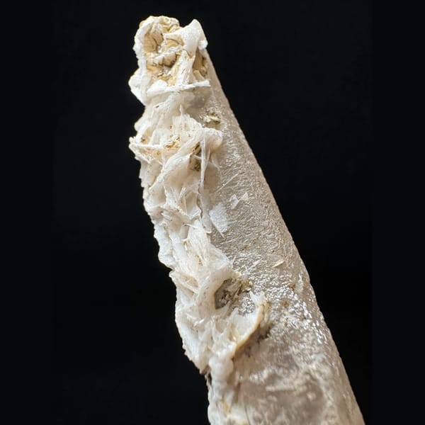 Slender quartz floater with white petal calcite from Inner Mongolia — detail view