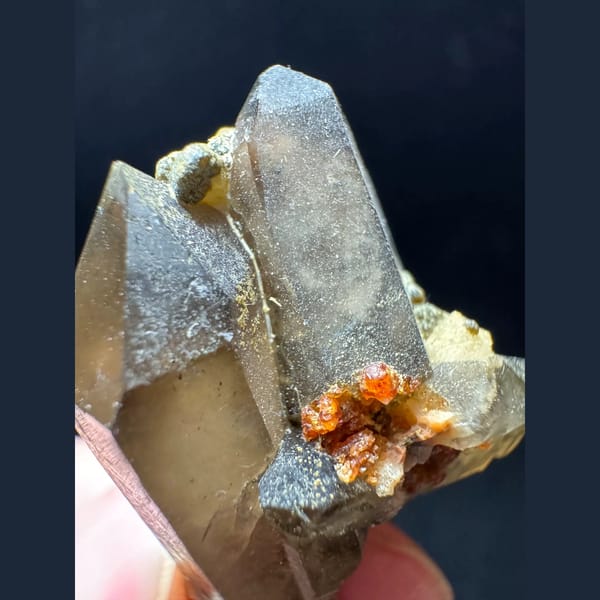 Smoky quartz with garnet from Yunxiao Fujian — detail view