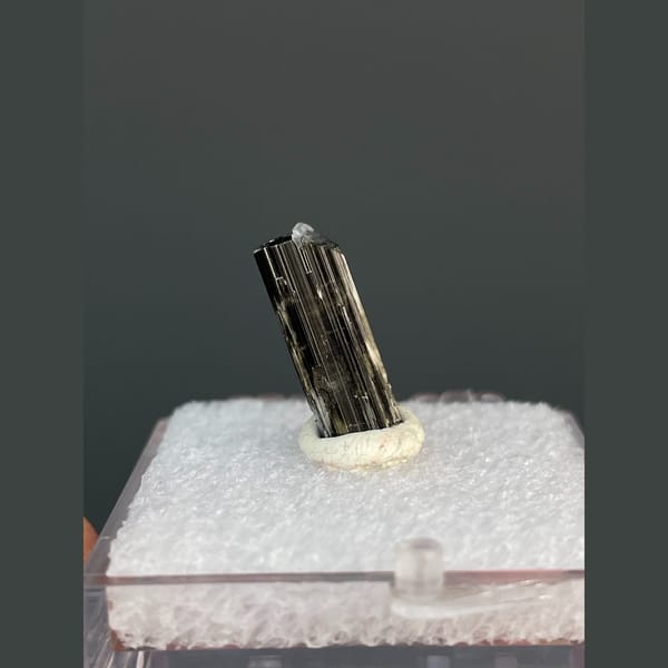 Small striated black tourmaline crystal from Brazil — complete view
