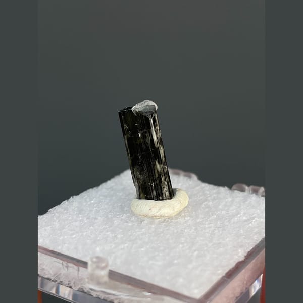 Small striated black tourmaline crystal from Brazil — alternate view