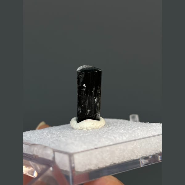 Small striated black tourmaline crystal from Brazil — detail view