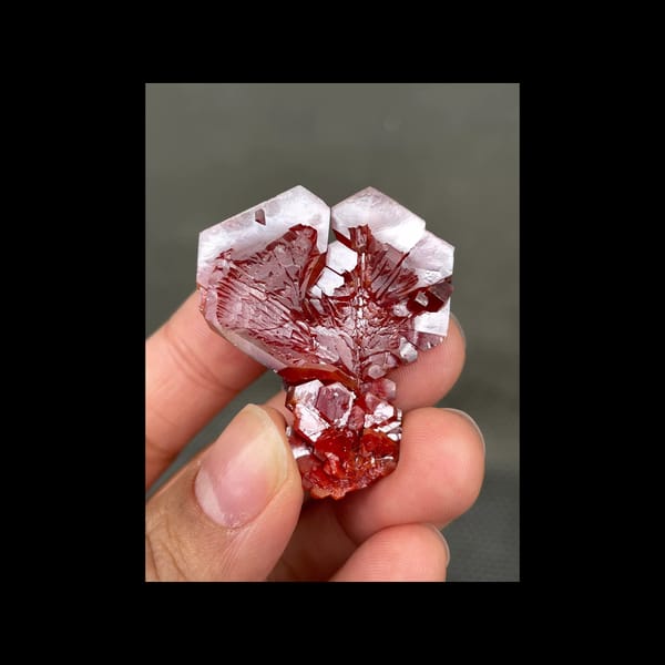 Large cherry-red vanadinite fan from Morocco — complete view