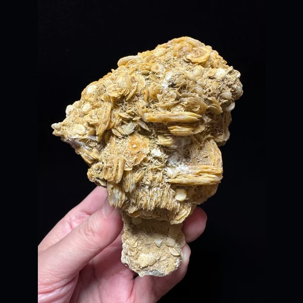 Quartz with golden petal calcite from Inner Mongolia — complete view