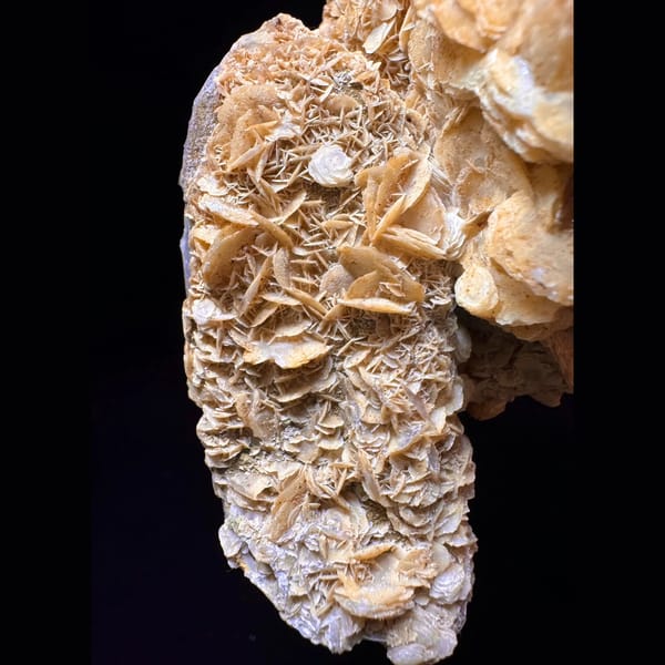Quartz with golden petal calcite from Inner Mongolia — alternate view