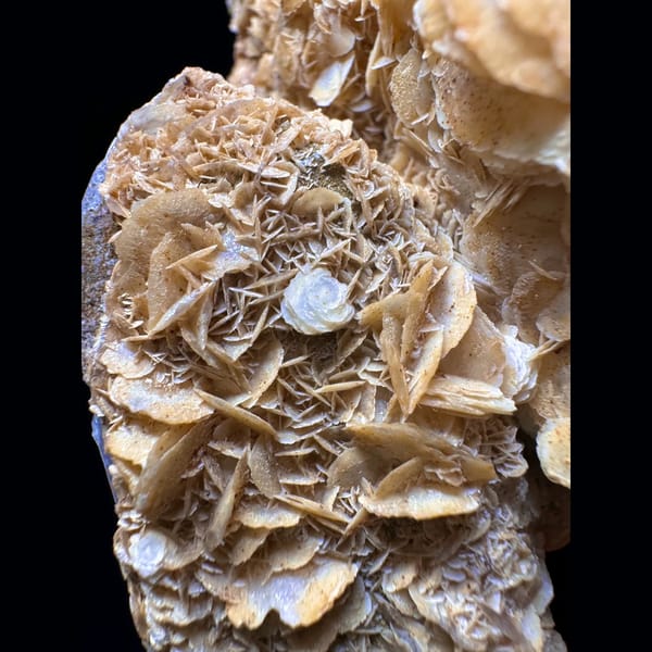 Quartz with golden petal calcite from Inner Mongolia — detail view