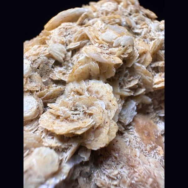 Quartz with golden petal calcite from Inner Mongolia — detail view