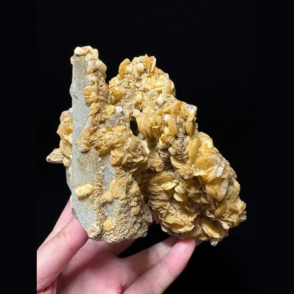 Large quartz with golden petal calcite from Inner Mongolia — complete view