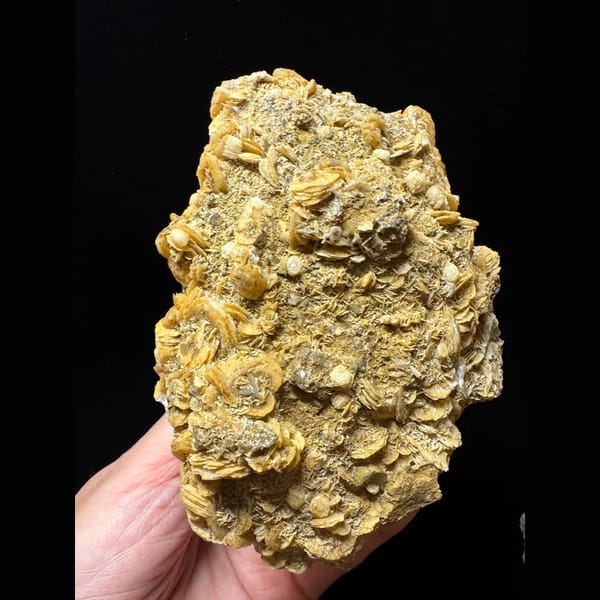 Large quartz with golden petal calcite from Inner Mongolia — detail view