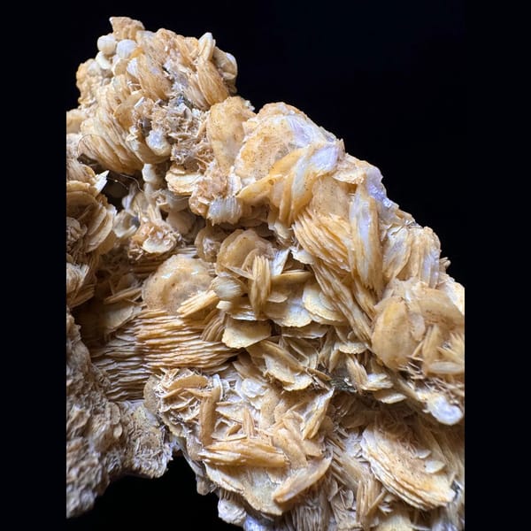 Large quartz with golden petal calcite from Inner Mongolia — detail view