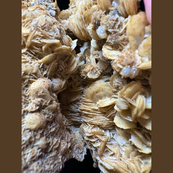 Large quartz with golden petal calcite from Inner Mongolia — detail view