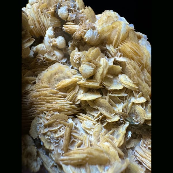 Large quartz with golden petal calcite from Inner Mongolia — detail view