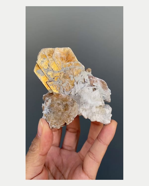 Complete front view of golden mica with topaz