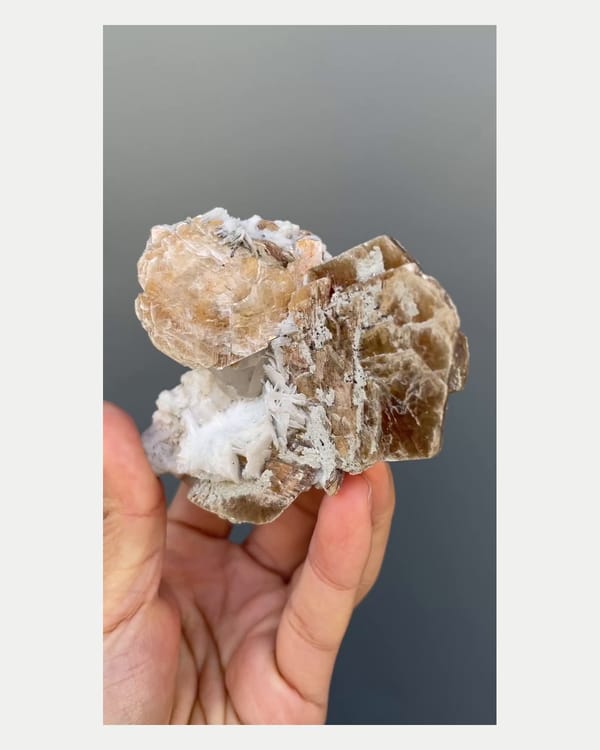Complete left oblique view of golden mica with topaz