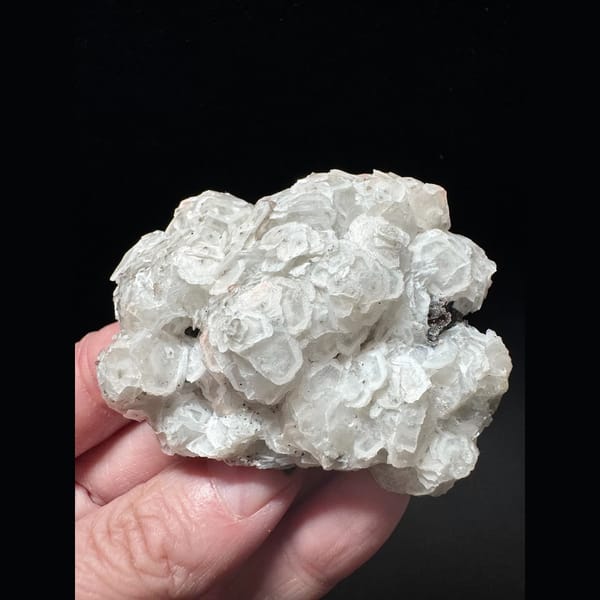 Coin petal calcite with hematite from Inner Mongolia — complete view