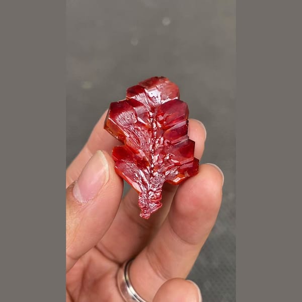 Large ruby red vanadinite crystal blade from Morocco — complete view