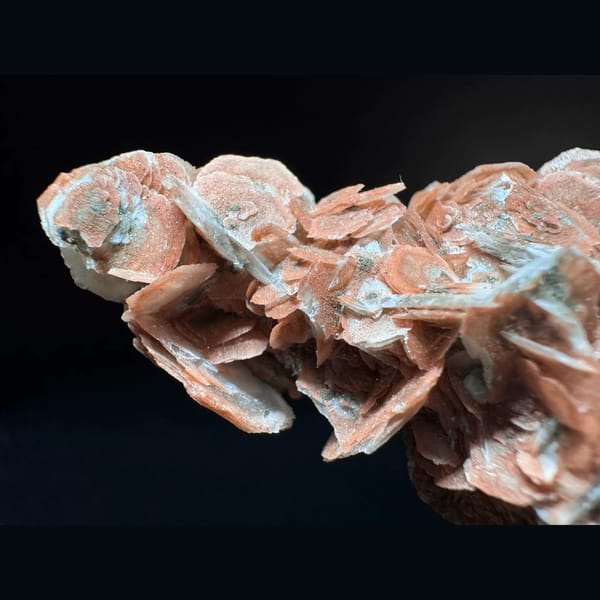 Coin calcite string with red petal calcite and hematite from Inner Mongolia — detail view